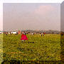 b01.jpg