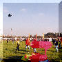 b07.jpg